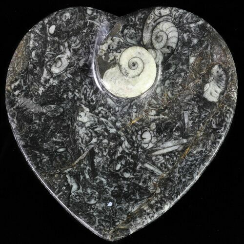 Heart Shaped Fossil Goniatite Dish #61264